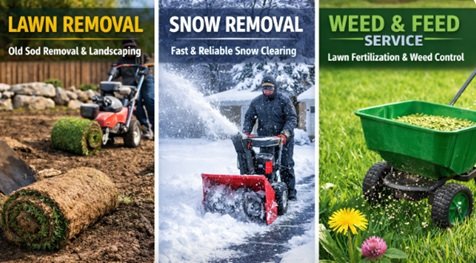 Weed and Feed: A Practical Lawn Care Solution